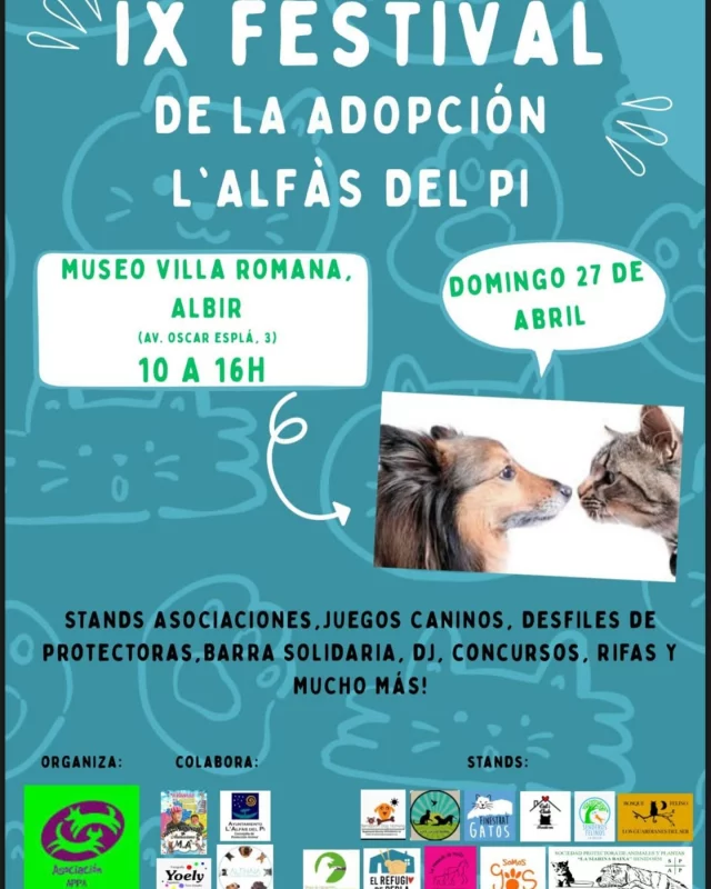 Este Domingo estaremos en el albir , Os esperamos !!🧡